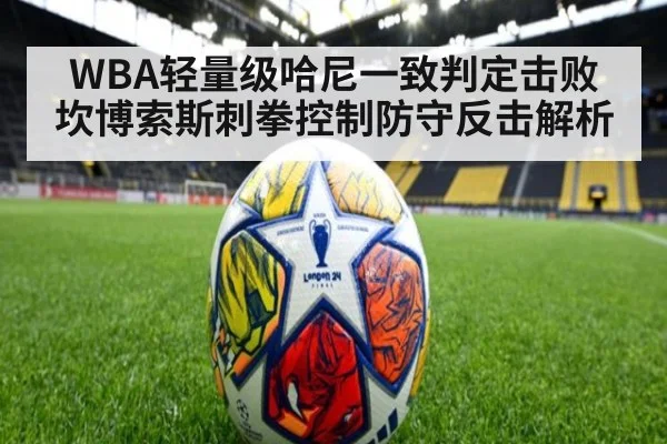 WBA轻量级哈尼一致判定击败坎博索斯刺拳控制防守反击解析