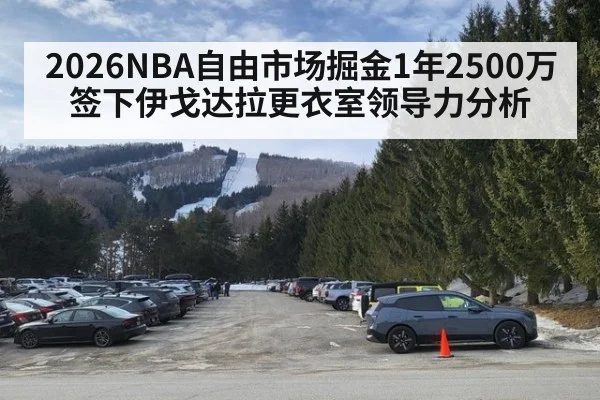 2026NBA自由市场掘金1年2500万签下伊戈达拉更衣室领导力分析