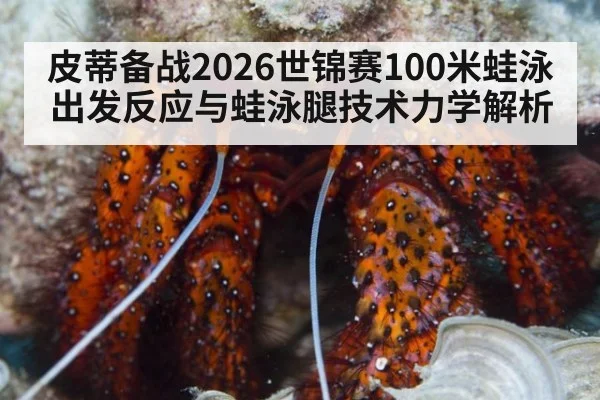 皮蒂备战2026世锦赛100米蛙泳 出发反应与蛙泳腿技术力学解析